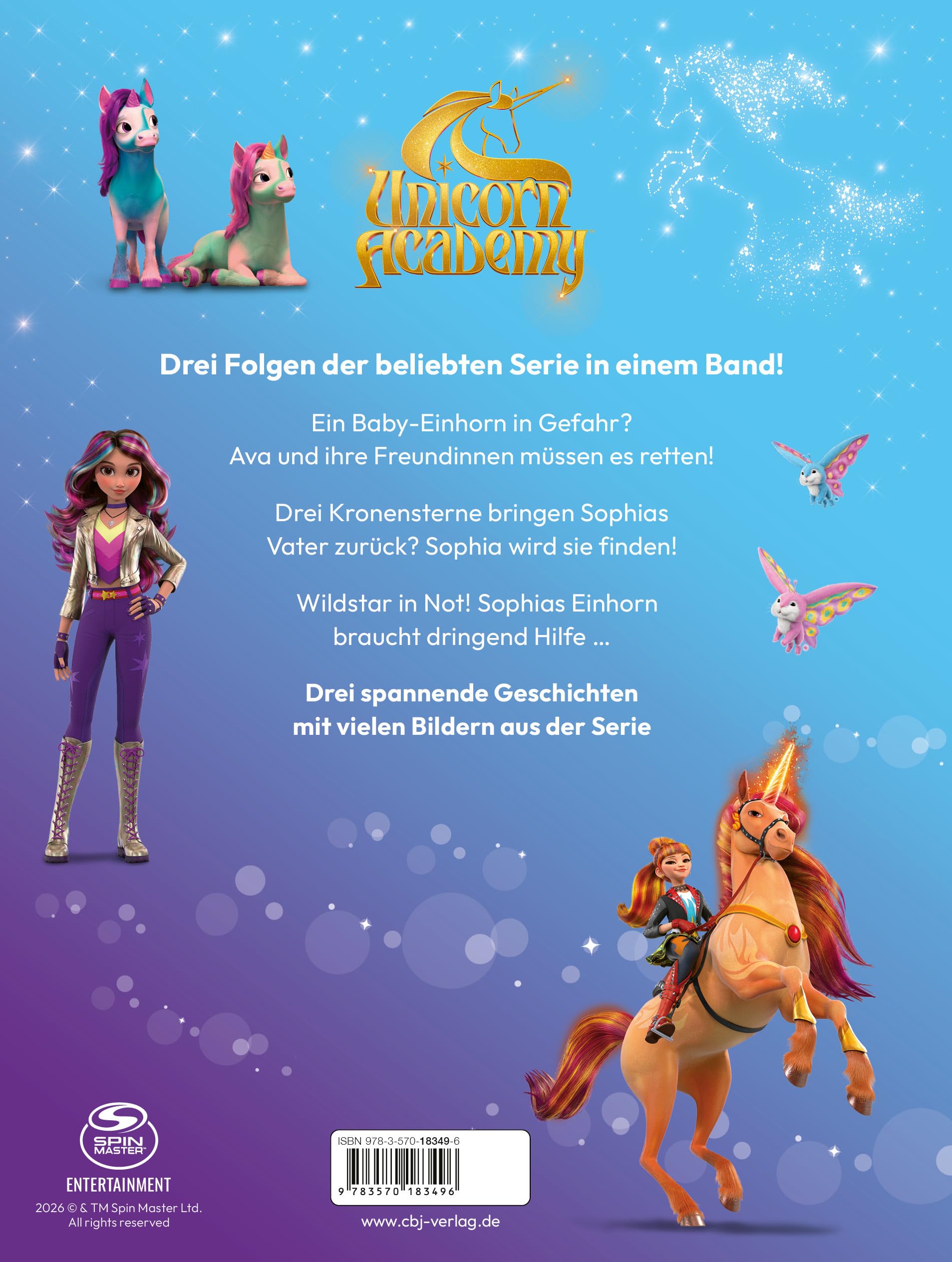 Unicorn Academy Das Jahr des Einhorns Band 4 Buch ab 6