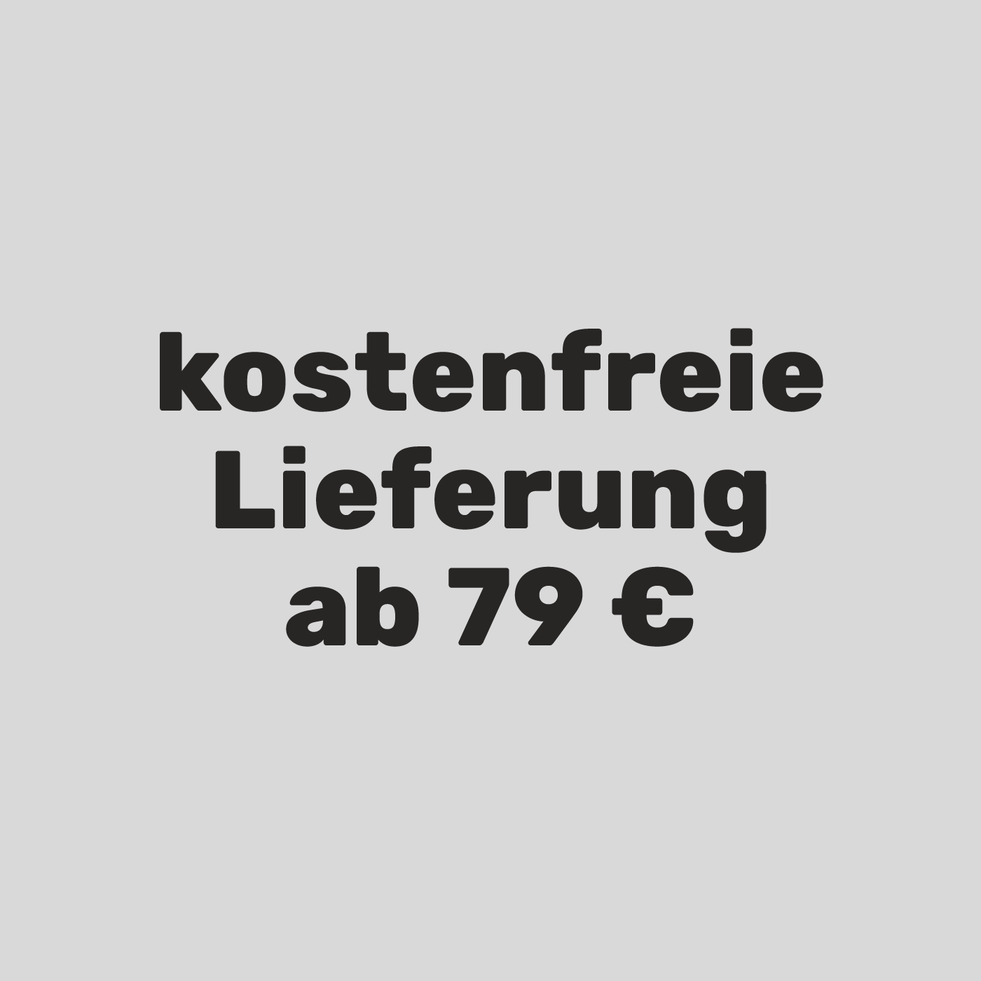 Centa-Star Artemica Travel-Set Bettdecke + Kissen 135x200