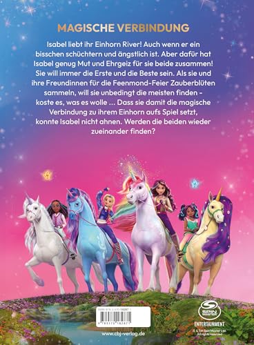 Unicorn Academy Unter dem Feenmond Band 2 Buch ab 8