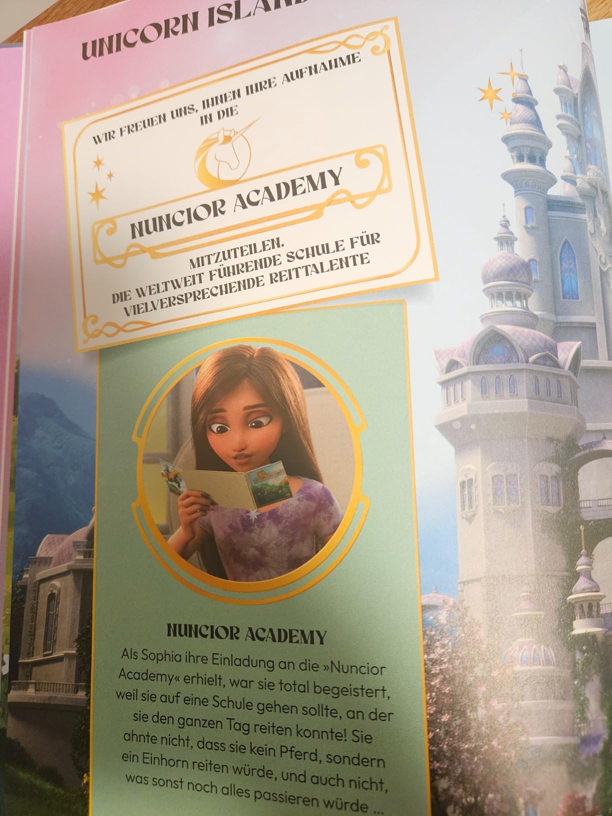 Unicorn Academy Das große Fanbuch Band 1 Wissensbuch