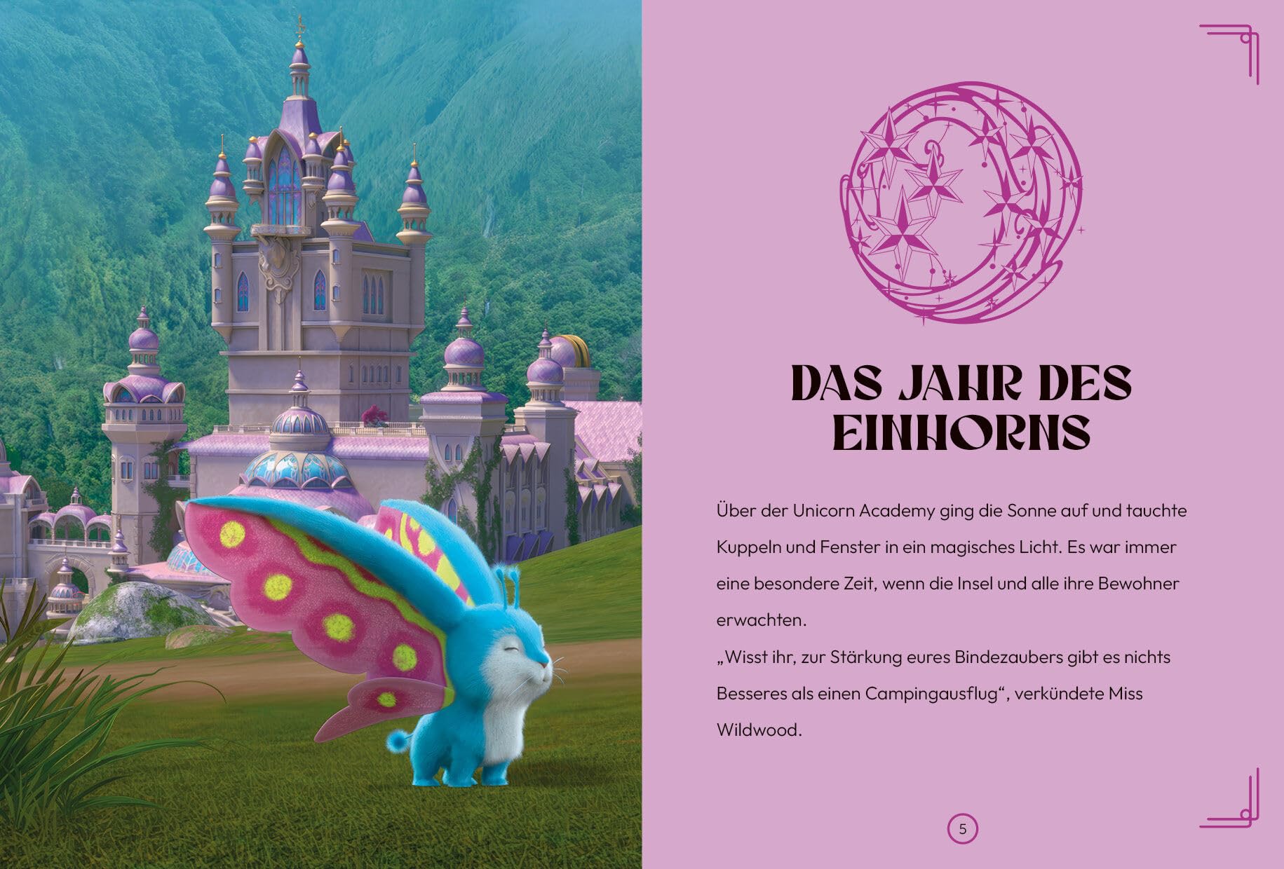 Unicorn Academy Das Jahr des Einhorns Band 4 Buch ab 6