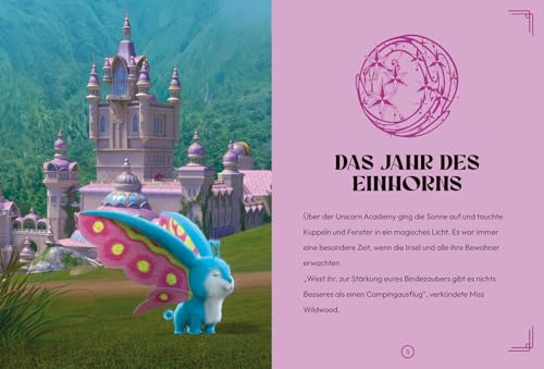 Unicorn Academy Das Jahr des Einhorns Band 4 Buch ab 6
