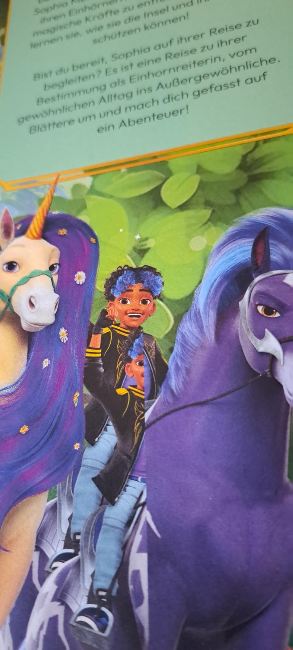 Unicorn Academy Das große Fanbuch Band 1 Wissensbuch