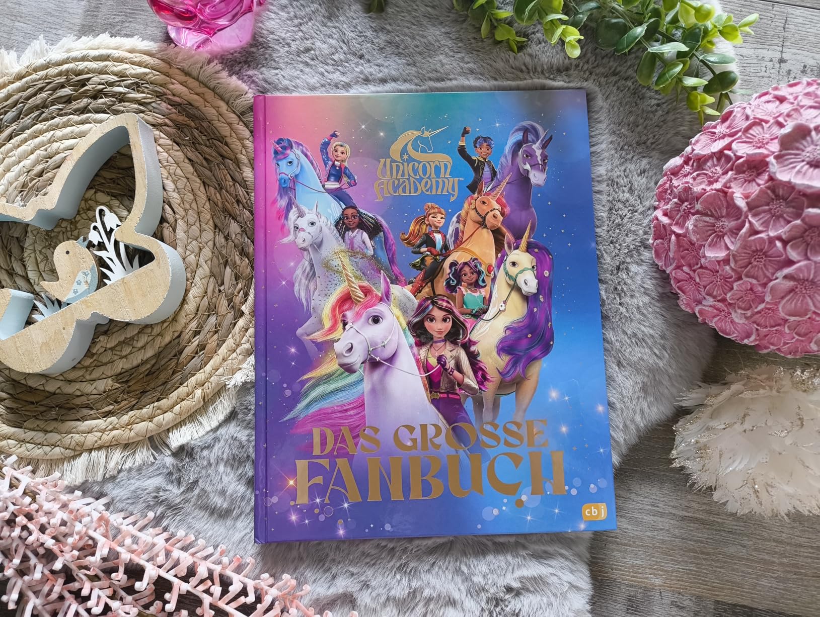 Unicorn Academy Das große Fanbuch Band 1 Wissensbuch