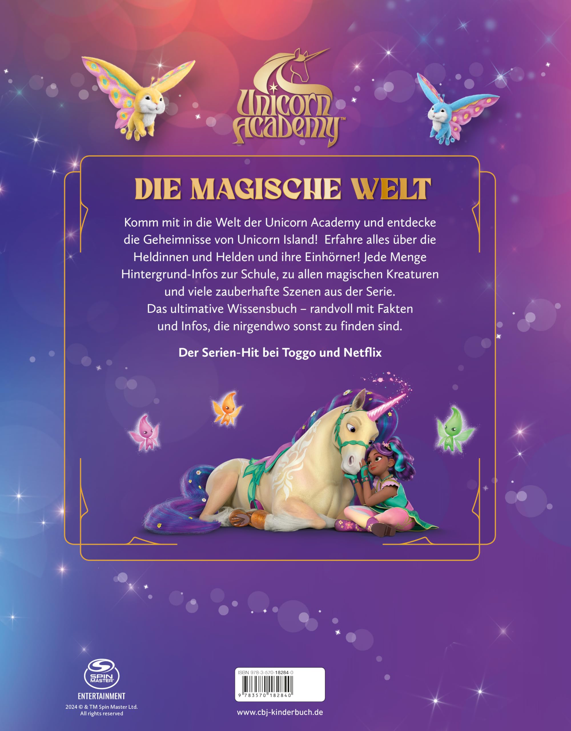 Unicorn Academy Das große Fanbuch Band 1 Wissensbuch